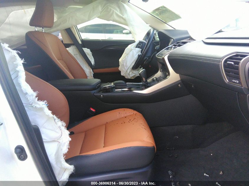 2021 LEXUS NX NX 300 - JTJDARBZ3M5029268