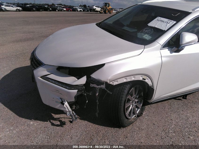 2021 LEXUS NX NX 300 - JTJDARBZ3M5029268