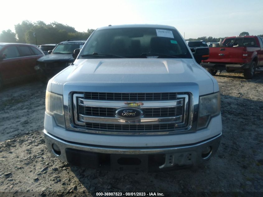 2013 FORD F-150 XL/XLT - 1FTEW1CM2DKG39340