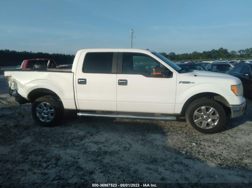 2013 FORD F-150 XL/XLT - 1FTEW1CM2DKG39340