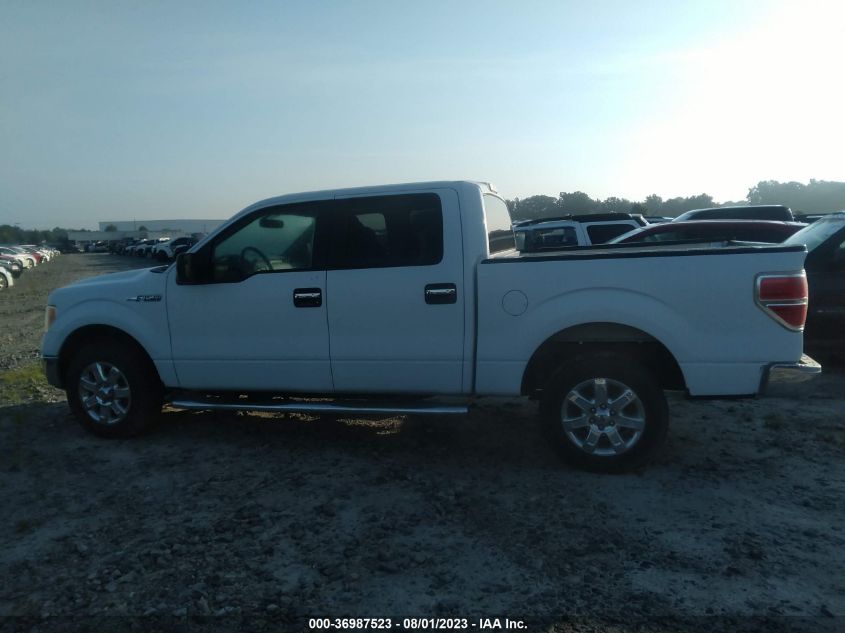 2013 FORD F-150 XL/XLT - 1FTEW1CM2DKG39340