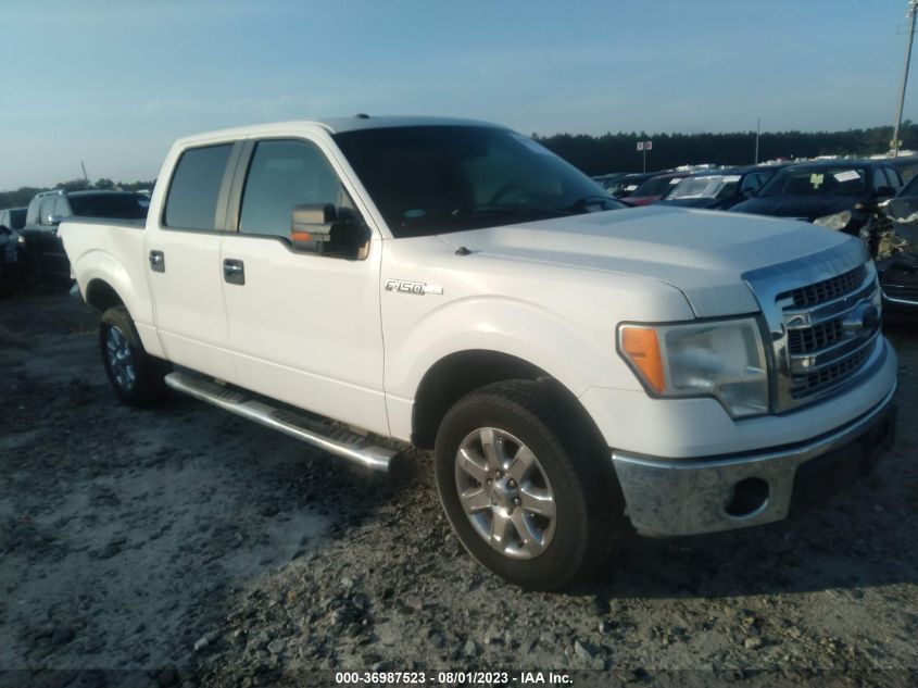 2013 FORD F-150 XL/XLT - 1FTEW1CM2DKG39340