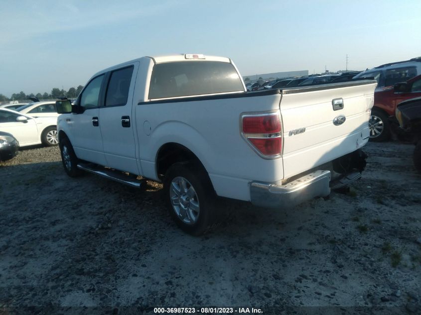 2013 FORD F-150 XL/XLT - 1FTEW1CM2DKG39340