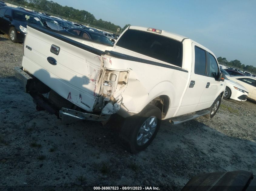 2013 FORD F-150 XL/XLT - 1FTEW1CM2DKG39340