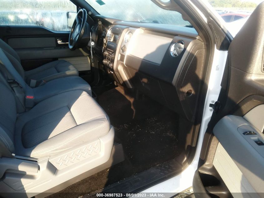 2013 FORD F-150 XL/XLT - 1FTEW1CM2DKG39340