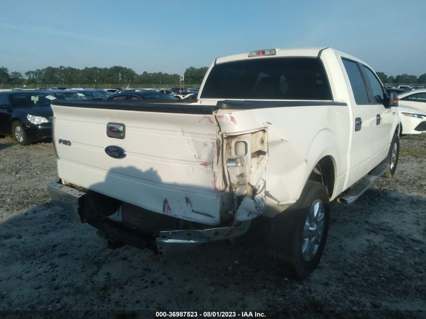 2013 FORD F-150 XL/XLT - 1FTEW1CM2DKG39340