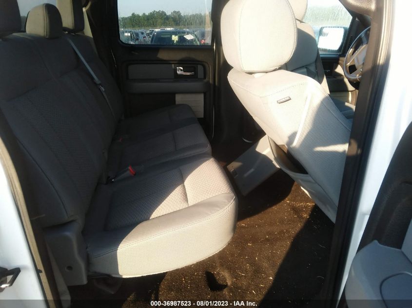 2013 FORD F-150 XL/XLT - 1FTEW1CM2DKG39340