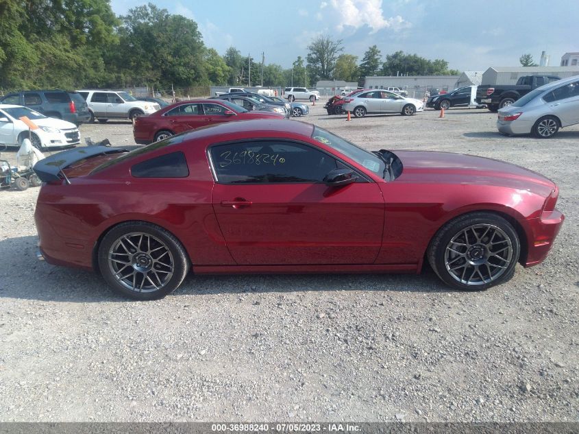 2014 FORD MUSTANG V6 - 1ZVBP8AMXE5283759