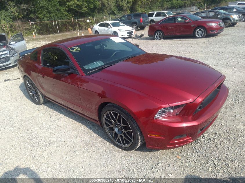 2014 FORD MUSTANG V6 - 1ZVBP8AMXE5283759