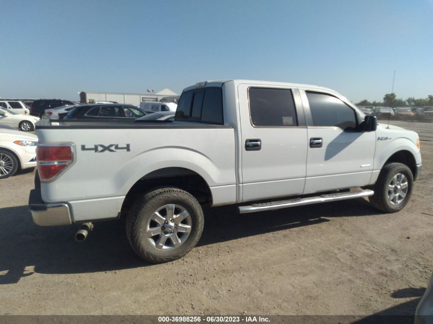 2013 FORD F-150 XL/XLT/FX4/LARIAT - 1FTFW1ET7DKF84926