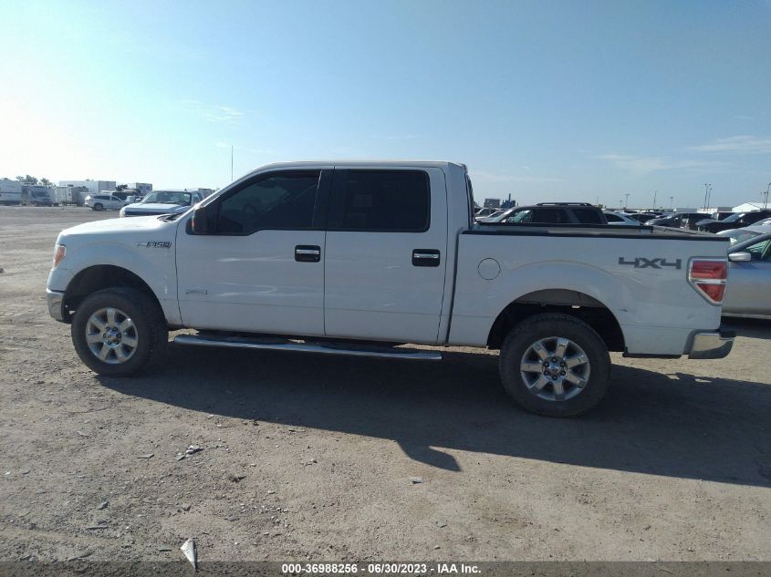 2013 FORD F-150 XL/XLT/FX4/LARIAT - 1FTFW1ET7DKF84926