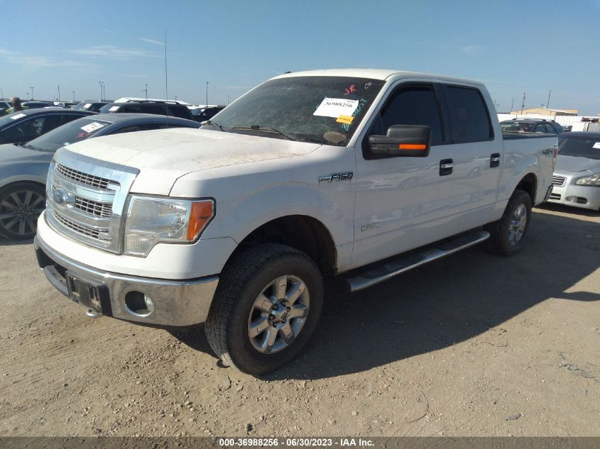 2013 FORD F-150 XL/XLT/FX4/LARIAT - 1FTFW1ET7DKF84926