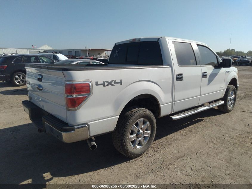 2013 FORD F-150 XL/XLT/FX4/LARIAT - 1FTFW1ET7DKF84926