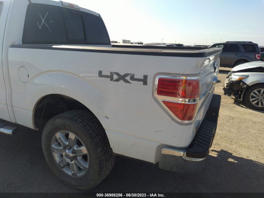 2013 FORD F-150 XL/XLT/FX4/LARIAT - 1FTFW1ET7DKF84926