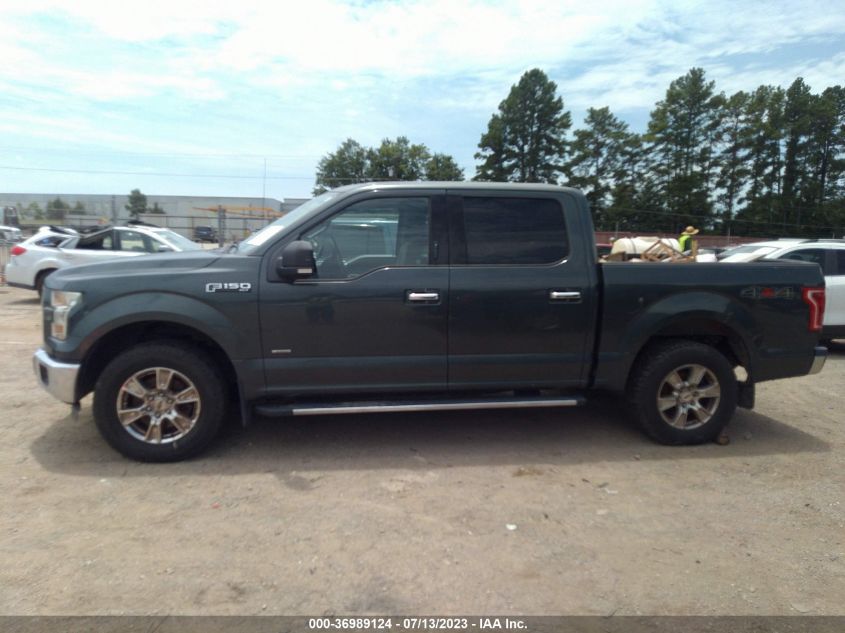 2015 FORD F-150 XLT - 1FTEW1EP5FKD41942