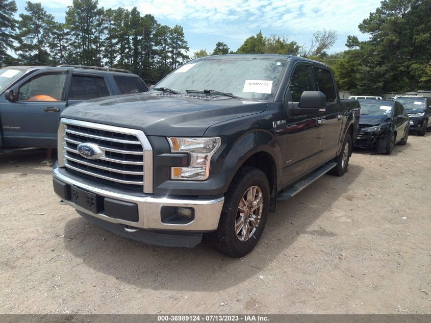 2015 FORD F-150 XLT - 1FTEW1EP5FKD41942