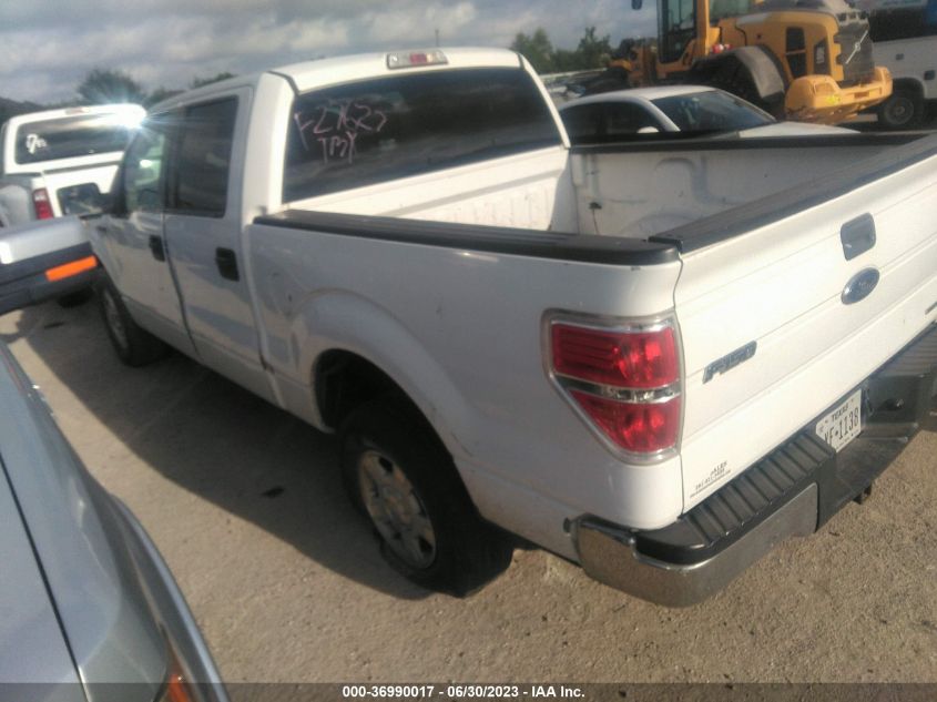 2013 FORD F-150 XL/XLT - 1FTEW1CMXDKF27627