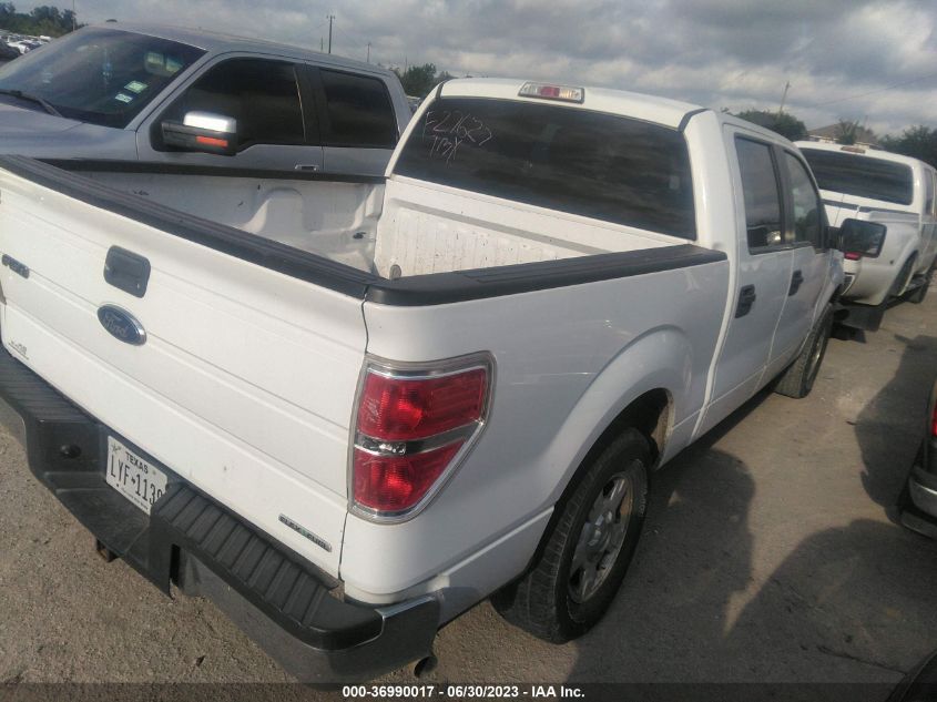 2013 FORD F-150 XL/XLT - 1FTEW1CMXDKF27627