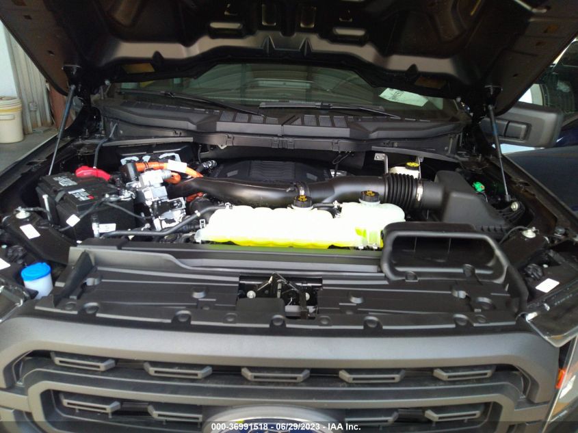 2023 FORD F-150 XL/XLT/LARIAT - 1FTFW1ED7PFC04666