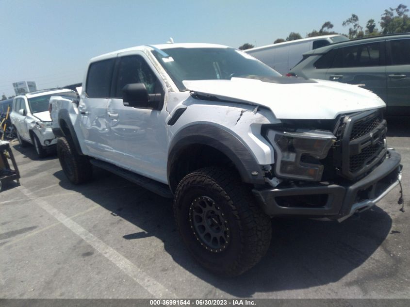 2019 FORD F-150 RAPTOR - 1FTFW1RG5KFB81613