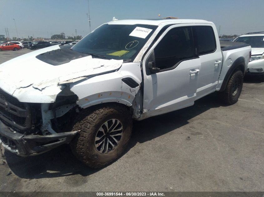 2019 FORD F-150 RAPTOR - 1FTFW1RG5KFB81613