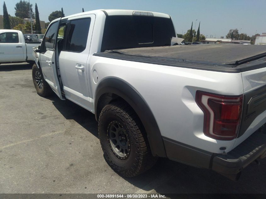 2019 FORD F-150 RAPTOR - 1FTFW1RG5KFB81613