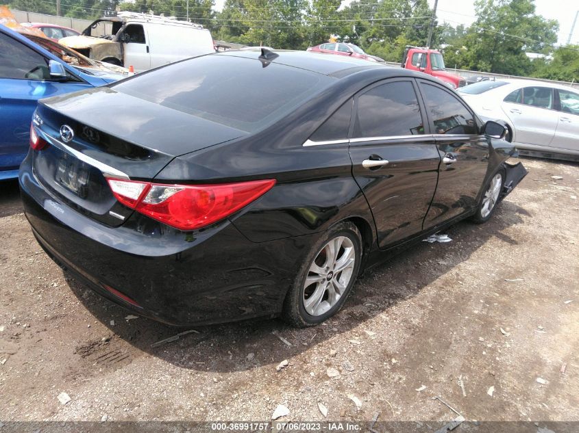 2013 HYUNDAI SONATA LIMITED PZEV - 5NPEC4AC1DH740680
