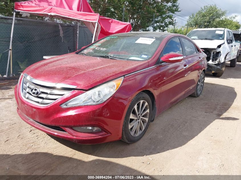 2013 HYUNDAI SONATA LIMITED - 5NPEC4AB5DH574798