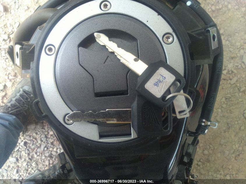 2019 HONDA GROM A - MLHJC755XK5100456