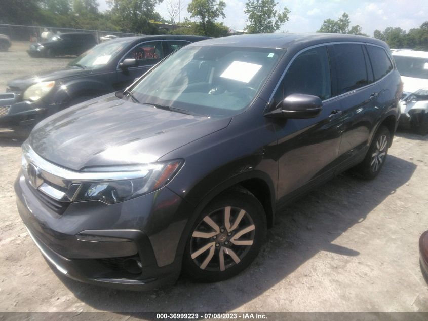 2021 HONDA PILOT EX-L - 5FNYF6H59MB077381
