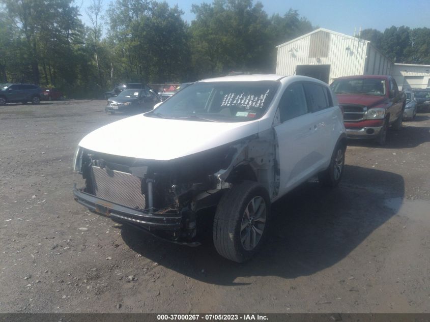 2015 KIA SPORTAGE LX - KNDPBCAC3F7682519