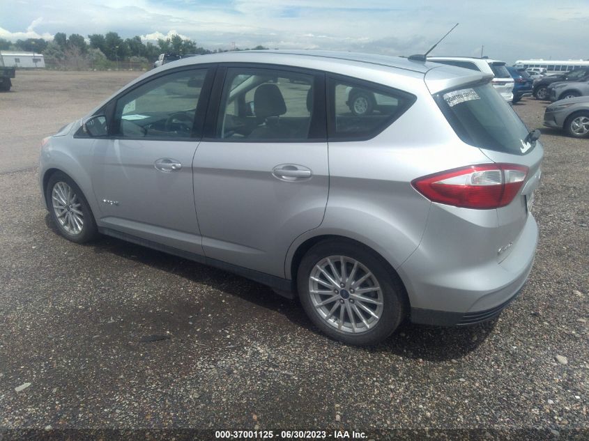 2014 FORD C-MAX HYBRID SE - 1FADP5AU5EL520007