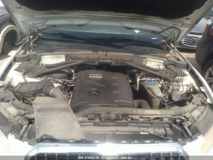 WA1LFAFP8DA017564 2013 AUDI Q5 - Image 10