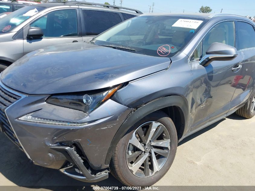 2021 LEXUS NX 300H BASE/300H LUXURY/300 - JTJGJRDZ2M2168111