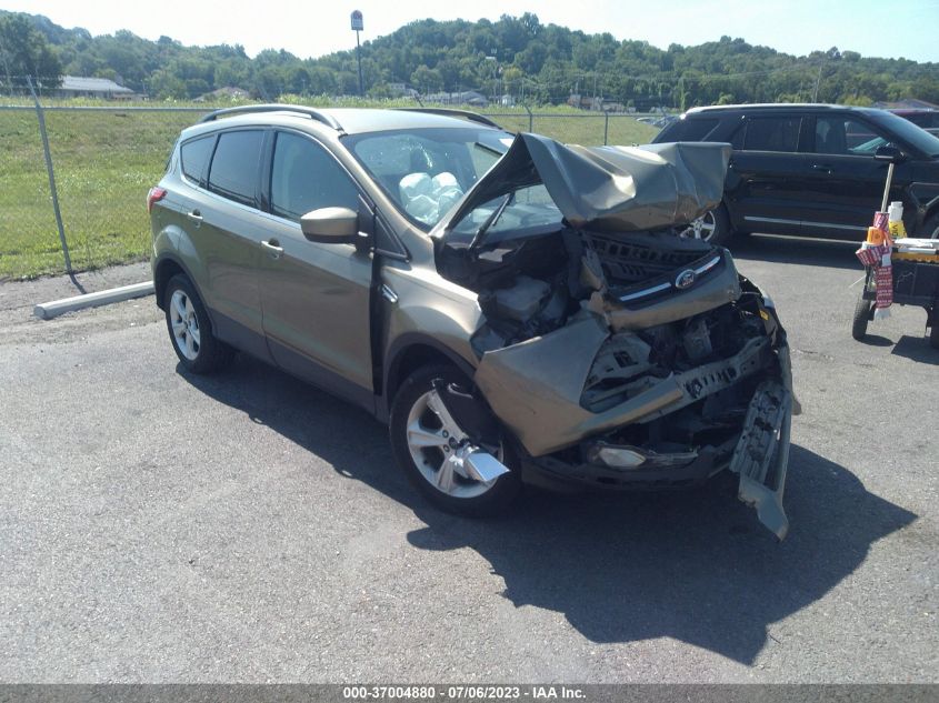 2014 FORD ESCAPE SE - 1FMCU0GX1EUA28129