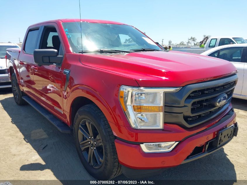 2021 FORD F-150 XL/XLT/LARIAT - 1FTFW1CD3MFA70561