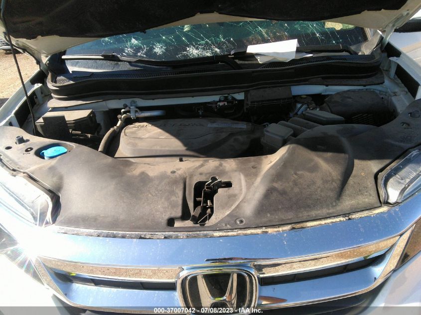 2019 HONDA PILOT EXL - 5FNYF5H50KB019327