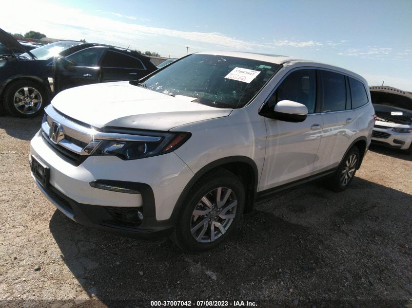 2019 HONDA PILOT EXL - 5FNYF5H50KB019327