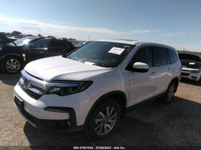 2019 HONDA PILOT EXL - 5FNYF5H50KB019327