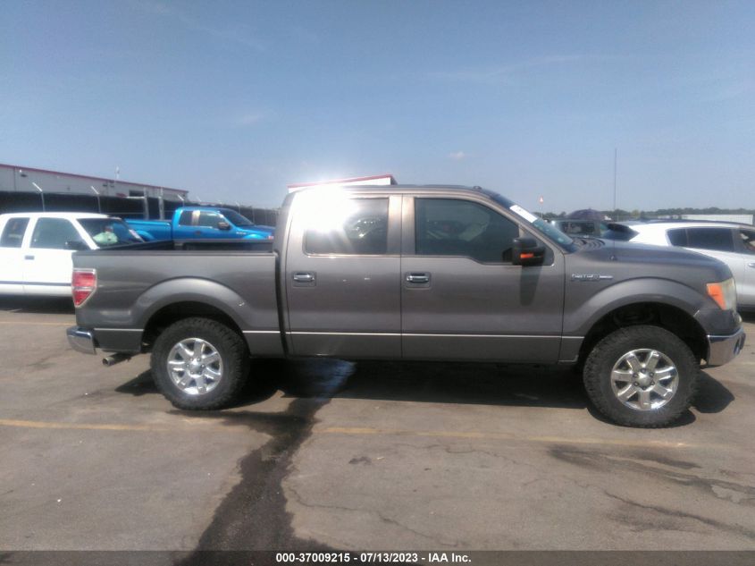 2013 FORD F-150 XL/XLT/FX2/LARIAT - 1FTFW1CF2DKD19330