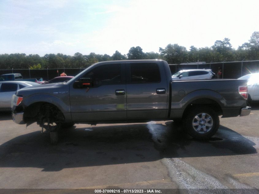 2013 FORD F-150 XL/XLT/FX2/LARIAT - 1FTFW1CF2DKD19330