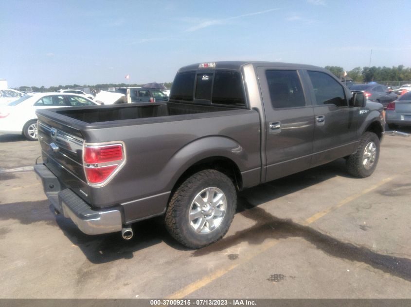 2013 FORD F-150 XL/XLT/FX2/LARIAT - 1FTFW1CF2DKD19330