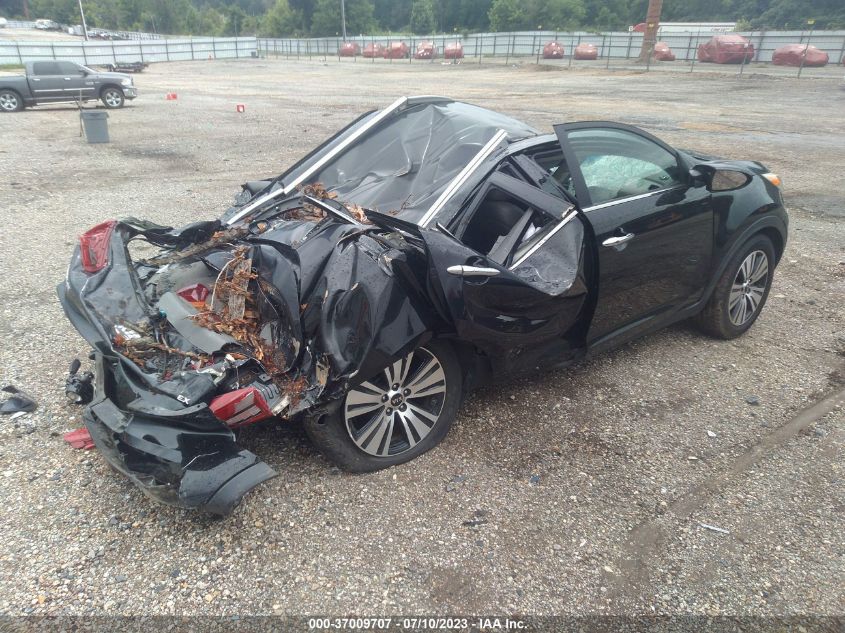 2016 KIA SPORTAGE EX - KNDPC3AC6G7848305