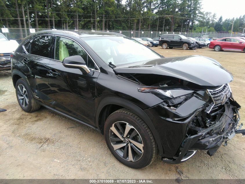 2019 LEXUS NX NX 300H - JTJBJRBZ8K2113964