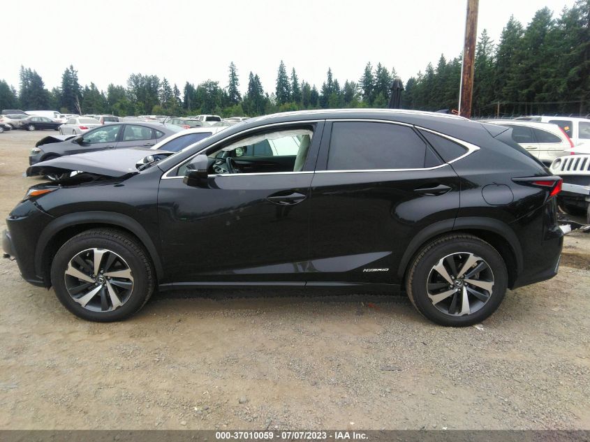 2019 LEXUS NX NX 300H - JTJBJRBZ8K2113964