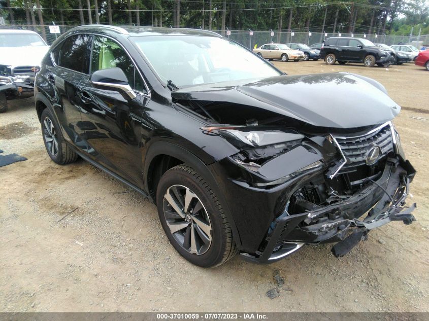 2019 LEXUS NX NX 300H - JTJBJRBZ8K2113964