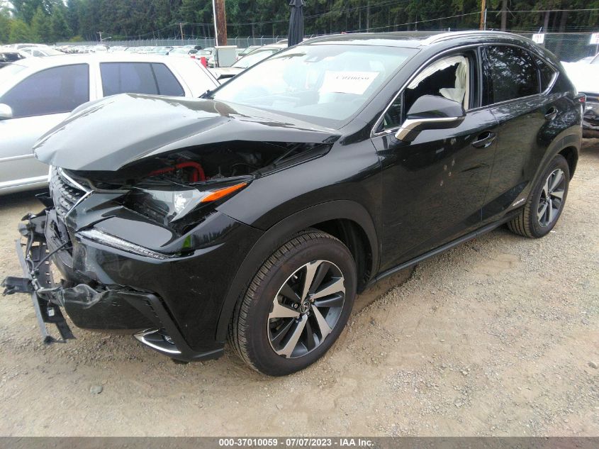 2019 LEXUS NX NX 300H - JTJBJRBZ8K2113964