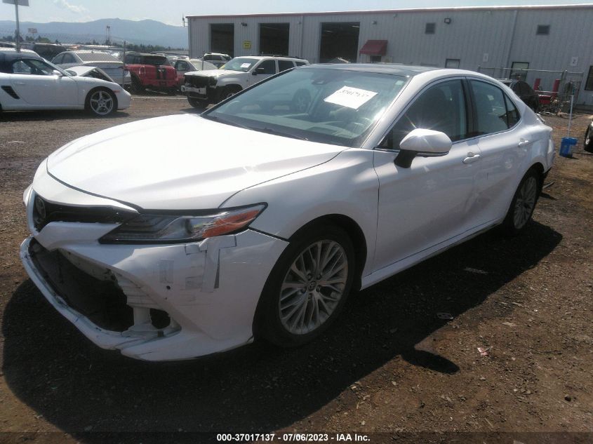 2020 TOYOTA CAMRY XLE - 4T1F11BK4LU013516