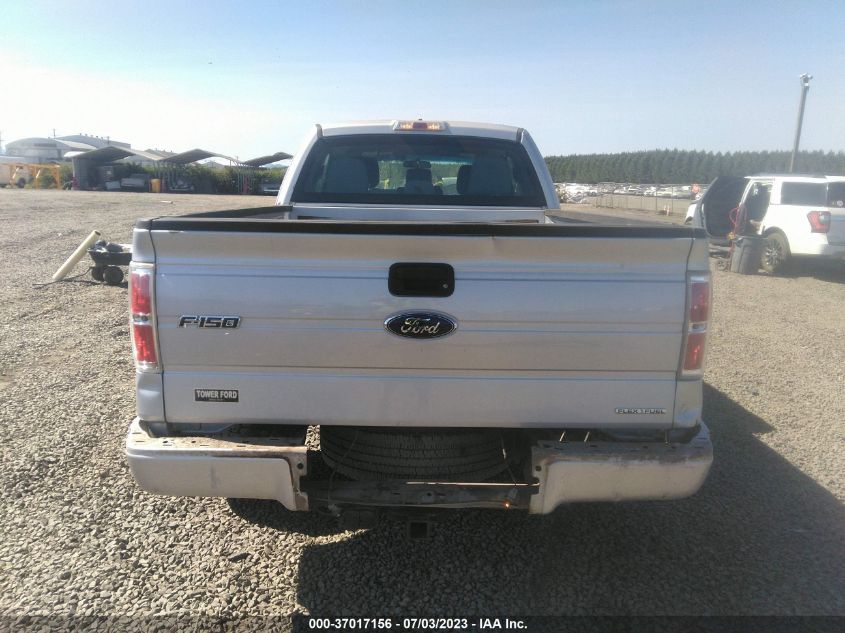 2013 FORD F-150 XL/STX/XLT/FX4/LARIAT - 1FTFX1EF1DKF15401