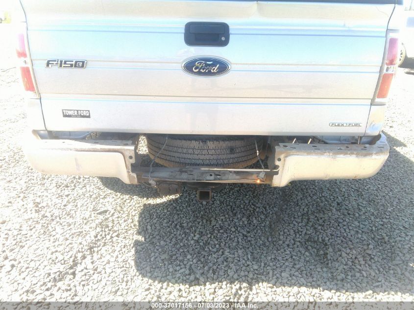 2013 FORD F-150 XL/STX/XLT/FX4/LARIAT - 1FTFX1EF1DKF15401